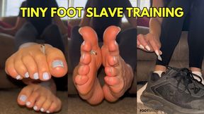 Tiny Foot Slave Training by Giantess Ivy