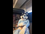 Cute Femboy Furry Jerks Off to you ;3