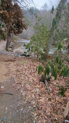 Cold Hike and Cum.