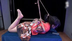 SL7-hogtied bondage