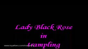 A042 Lady Black Rose in facetrampling jump
