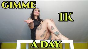 GIMME ME 1K A DAY