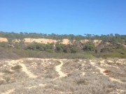 1ncandenza jerks off on Portuguese beaches
