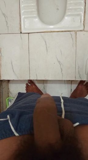 Bathroom Kar Rahe Mera Land