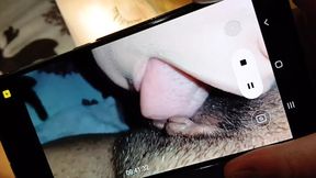 Three Roommates Engage in Dirty Sex