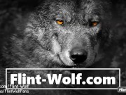 Onlyfans.com/Flint-Wolf