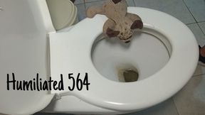 Humiliated 564