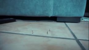 Dating guys new giantess roma trailer