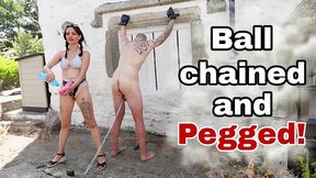 training zero balls chained & pegged - femdom anal pegging with my slave in bondage