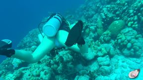 Alone Time in Bonaire