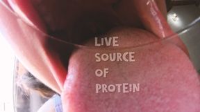 Live Source of Protein -- Ms Bagheera