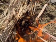 SURVIVAL bushcraft skills: camping lifehacks outdoors forest asmr