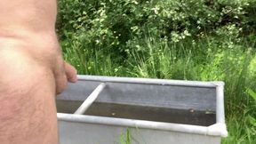 Doing As He Is Told (POV)
