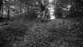 Leashed and lewd, this pathetic sex slave is dragged through the woods by her handler.