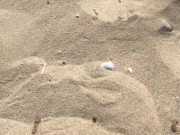 Big load on the beach