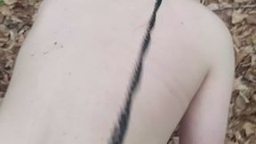 Humiliation en forêt