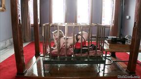 ”Hubby with wifey fuck titty slave”