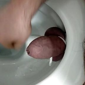 Toilet seat crushing tied cock and balls