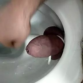 Toilet seat crushing tied cock and balls