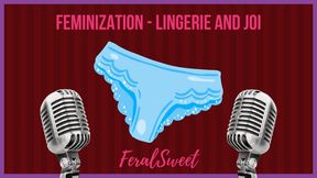 Feminization Lingerie and JOI