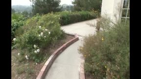 Wild Princess Loves Hot Queen