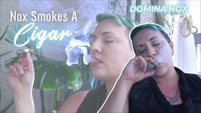 Nox Smokes A Cigar (UHD WMV)