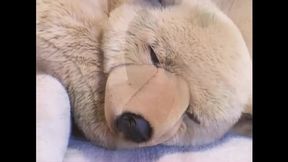 A Threesome Fuck with Two Hot Sex Goddesses to Fuck Hard in the Ass