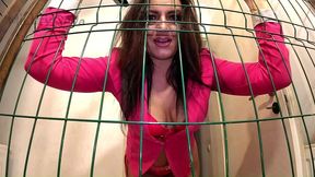 spit & domination in the cage – red lingerie, belt play & dirty pov control
