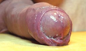 POV Uncut Foreskin big mushroom Head Autostroking on desk &amp; wild Cumshot w Live audio