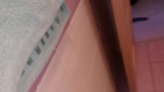 Watching a hairy mom, hairy pussy, big tits, big ass. Hot latina with big ass, hairy pussy, big tits