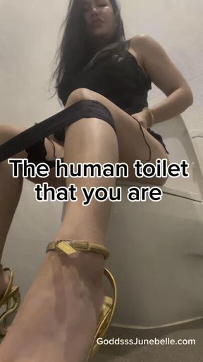 The human toilet that you are
