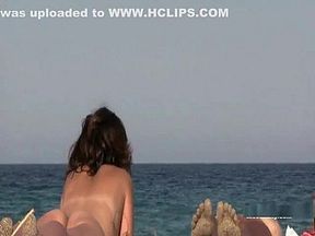 theSandfly Exciting Shore Scenes!