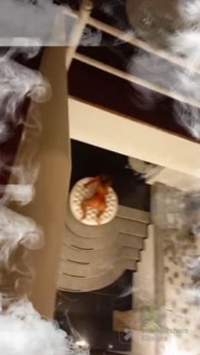 Anal sex in the hotel with my nympho stepsister