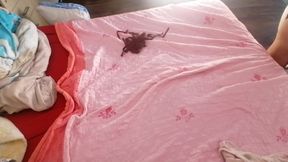 Amateur wife fingers pussy until orgasm. Latin pussy hair masturbation orgasm.