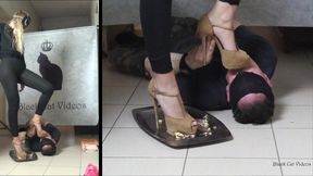 crush food and lick in brown shoes with Alice