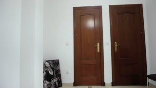 Try On - Lingerie Bodysuit Tight Dress