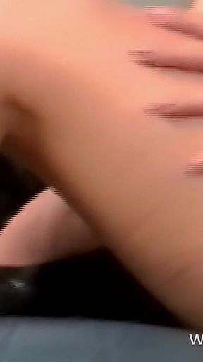 Sofa and Cane Featuring Tillie