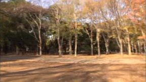 Petite Babe Iku Sakuragi Sucks & Strokes Hard Dick