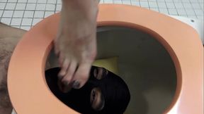 Absolut Pervert Piss-Mess!