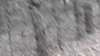 Peeping Tom on teen play with pussy in forest, public masturbation orgasm