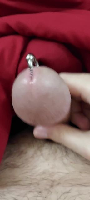 Jerking off My Prince Albert Cock