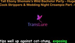 English Audio Sex Story - Tall Ebony Shemale's Wild Bachelor Party - Huge Cock Strippers &amp; Wedding Night Creampie - 6