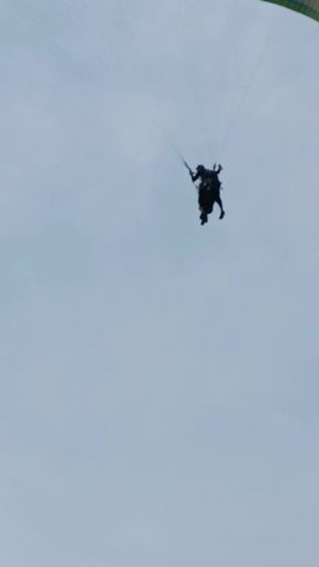 Golden dick of persia