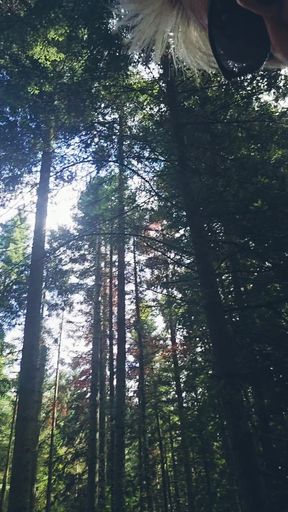 Fourth Day of Vacation I Walk in the Woods Looking for a Stranger