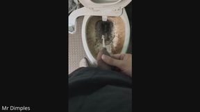 Compilation of me pissing!