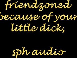 ally zoned coz of your little rod, audio story