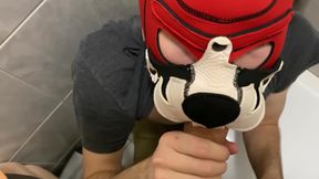 Young Guy Sucks Deepthroat Big Cock In Public Toilet