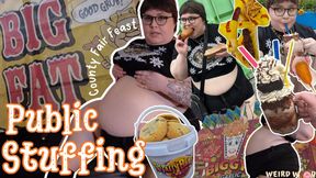 My Public All Day County Fair Stuffing (Fat Chat & Vlog) - MP4