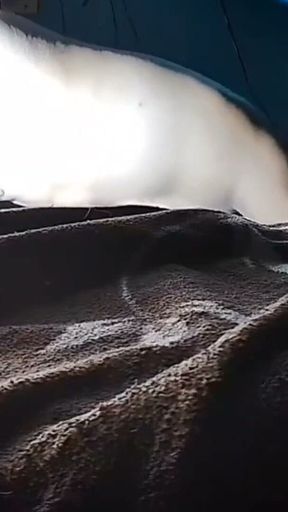 Puchis - Sexy MILF Jugoso Ruidoso Squirting