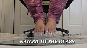NAILED TO THE GLASS